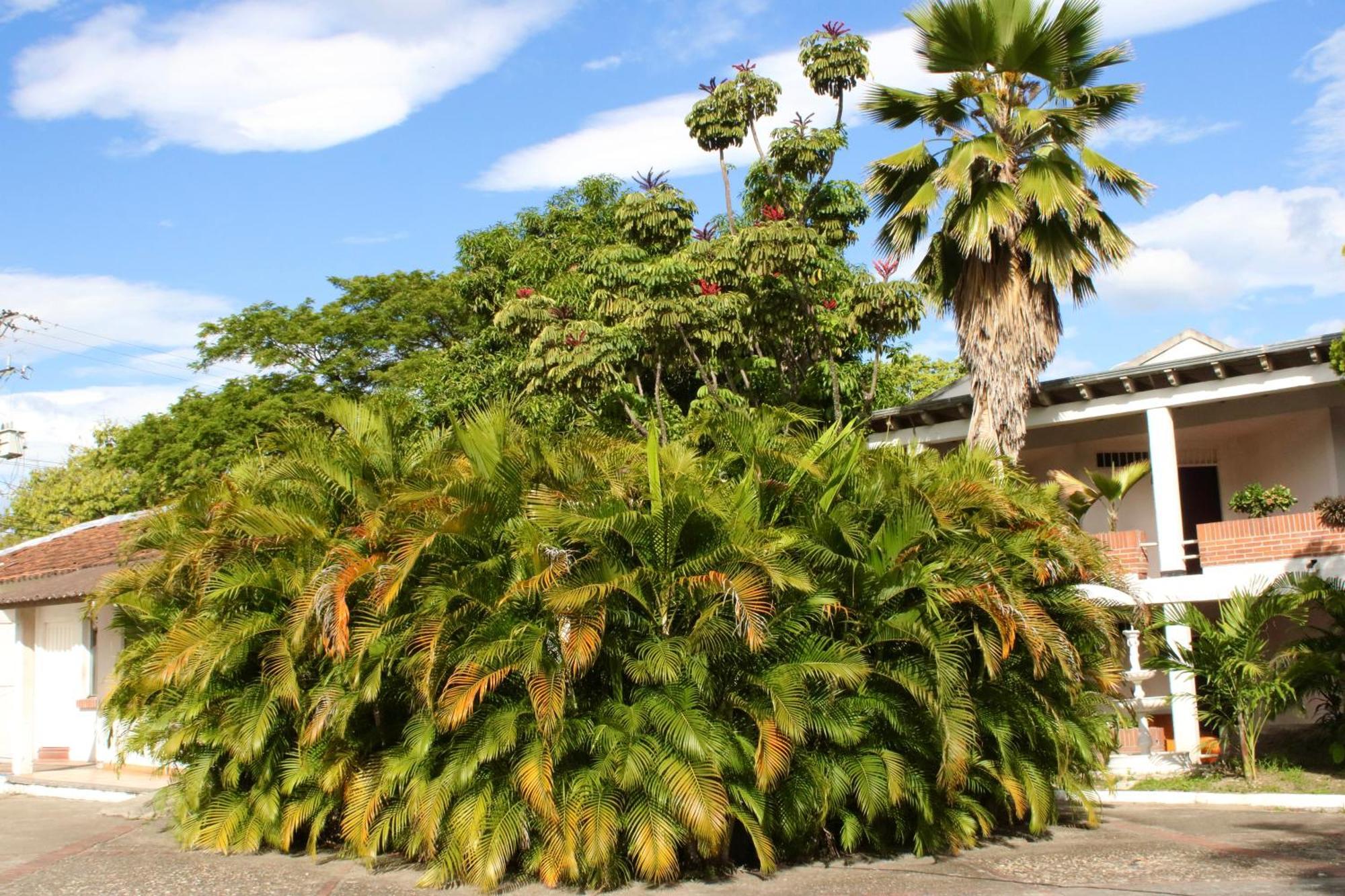 Hotel Mar Azul Neiva 内瓦 外观 照片